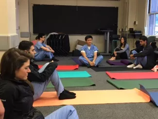 Healthcare Professionals Meditating